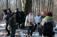 /album/fenykepgaleria/img-9043-jpg/